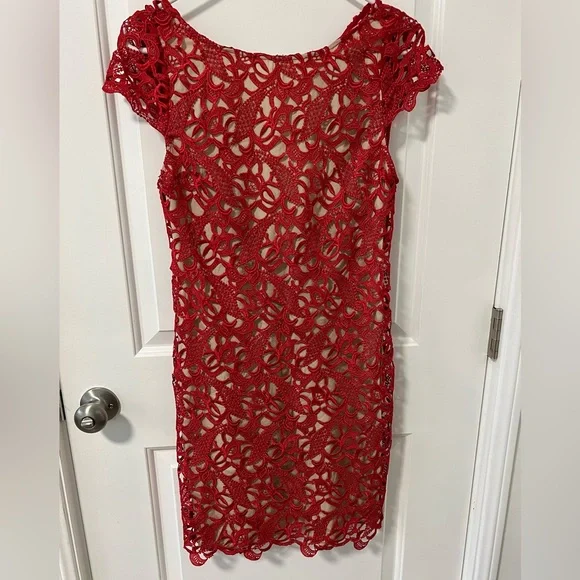 chinese dress ladies Alice & Olivia red embrodered pleated dress - BOPF